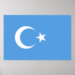 Póster Bandera del este de Turkestan Uyghur