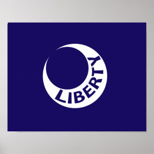 Póster Bandera del Fuerte Moultrie, Carolina del Sur