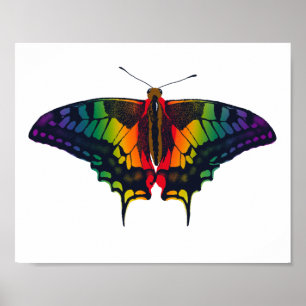 Póster Bandera del Orgullo Arcoiris de Filadelfia