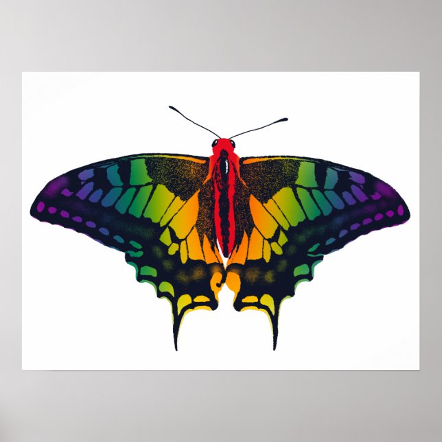 Póster Bandera del Orgullo Arcoiris Mariposa Tradicional (Frente)