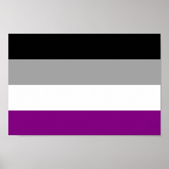 Póster Bandera del Orgullo Asexual (Frente)