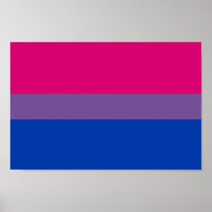 Póster Bandera del Orgullo Bisexual
