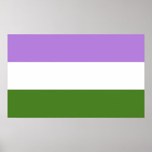 Póster Bandera del Orgullo de Género