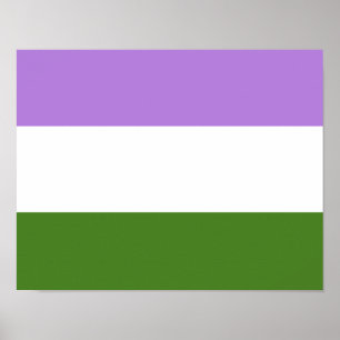 Póster Bandera del Orgullo de Género