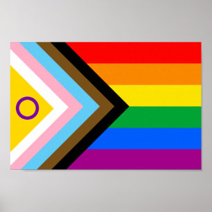 Póster Bandera del Orgullo de Progreso Inclusivo Intersex