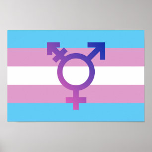 Póster Bandera del orgullo del transporte