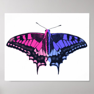 Póster Bandera del Orgullo Omnisexual Mariposa Trasera