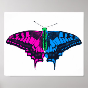 Póster Bandera del Orgullo Polisexual Mariposa de cerda