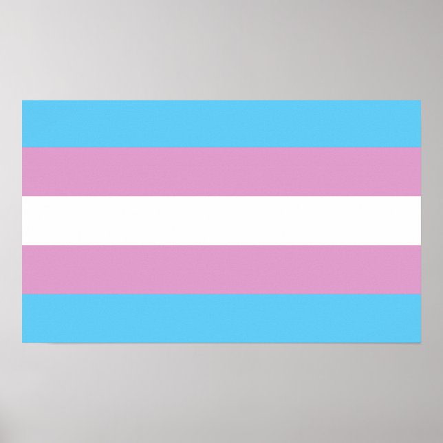 Póster Bandera del Orgullo Trans (Frente)