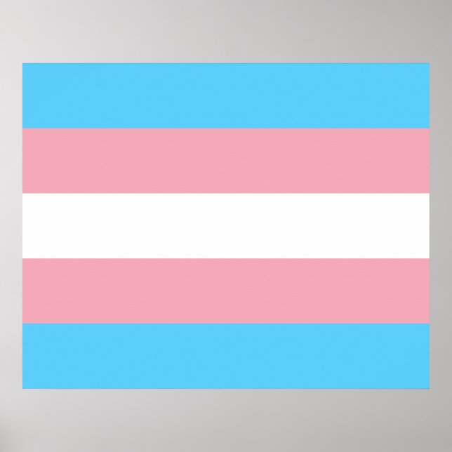 Póster Bandera del Orgullo Trans (Orgullo Transgénero) (Frente)
