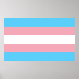 Póster Bandera del Orgullo Transgénero