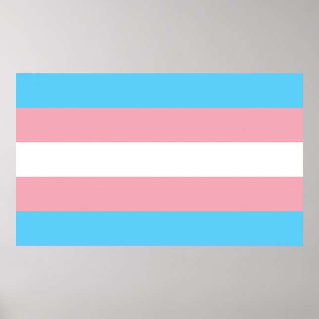 Póster Bandera del Orgullo Transgénero (Frente)