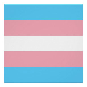 Póster Bandera del Orgullo Transgénero