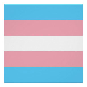 Póster Bandera del Orgullo Transgénero - Arcoiris LGBT