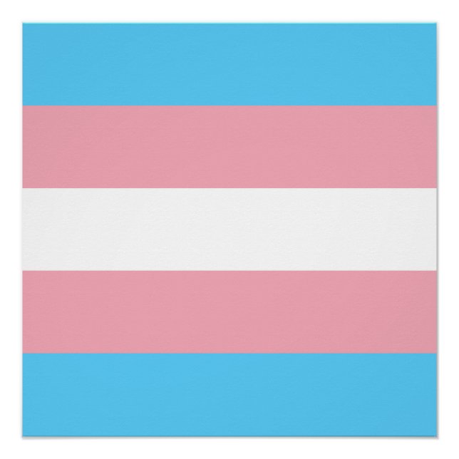 Póster Bandera del Orgullo Transgénero - Arcoiris LGBT (Anverso)