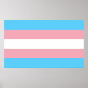 Póster Bandera del Orgullo Transgénero - Arcoiris LGBT