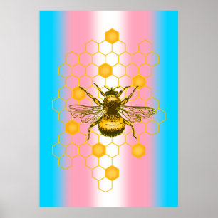 Póster Bandera del orgullo transgénero, Bee-live, Love is