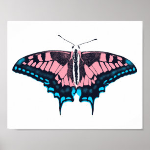 Póster Bandera del Orgullo Transgénero Mariposa Tradicion