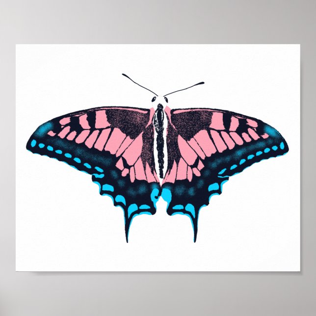 Póster Bandera del Orgullo Transgénero Mariposa Tradicion (Frente)