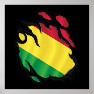 Póster Bandera Desgarrada de Bolivia