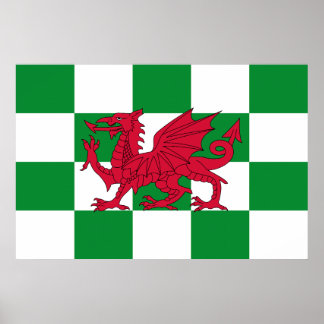 Póster Bandera Dragónica Celta Roja Verifica Creatividad