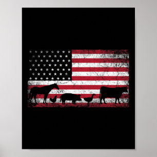 Póster Bandera Estadounidense 4 De Julio Hígado De Gallin