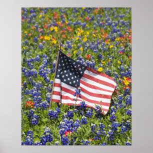 Póster Bandera estadounidense en campo de Bonetas Azules,