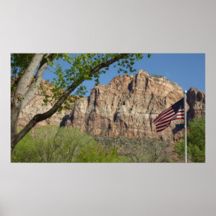 Póster Bandera estadounidense en el Parque Nacional de Zi