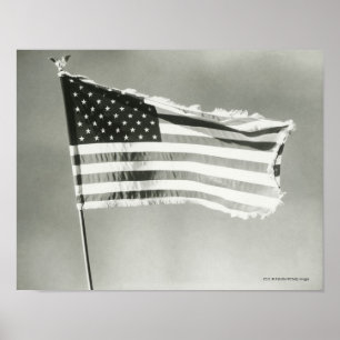 Póster Bandera estadounidense en mástil