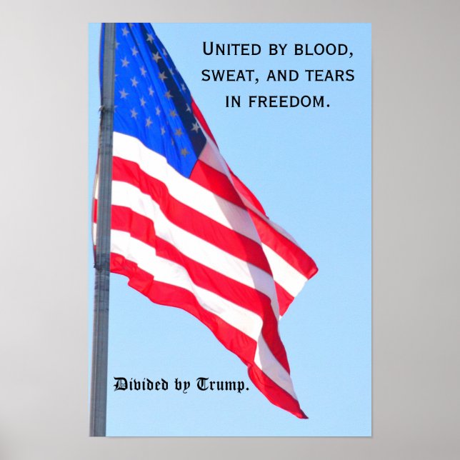 Póster Bandera estadounidense: Unidos...en libertad/ divi (Frente)