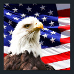 Póster Bandera estadounidense y águila calva<br><div class="desc">Bandera estadounidense y águila calva</div>