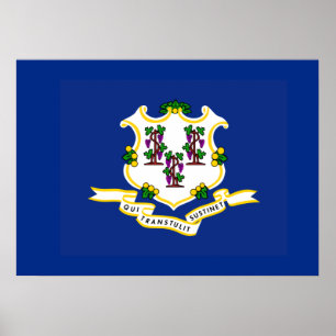 Póster Bandera estatal de Connecticut