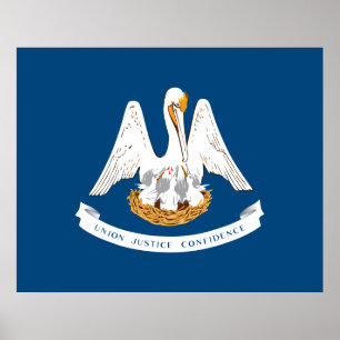 Póster Bandera Estatal de Luisiana