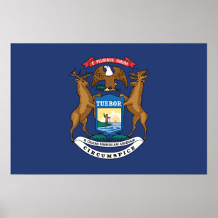 Póster Bandera estatal de Michigan, Estados Unidos