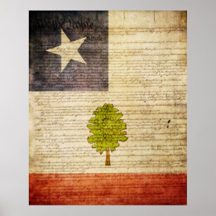 Póster Bandera Estatal de Misisipi 1861