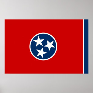 Póster Bandera Estatal Tennessee
