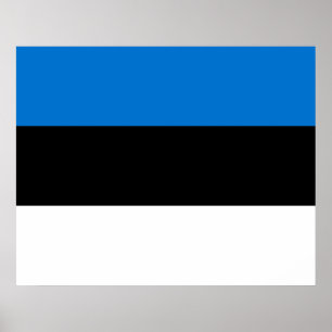 Póster Bandera estonia