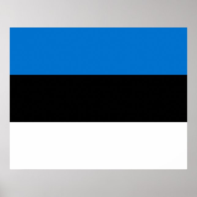 Póster Bandera estonia (Frente)