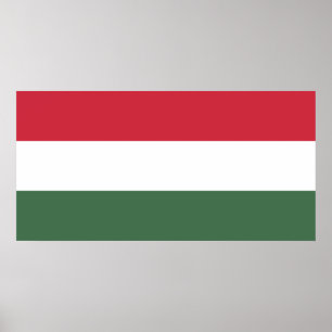 Póster Bandera húngara
