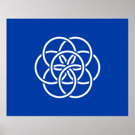 Póster Bandera internacional del planeta Tierra