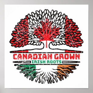 Póster Bandera irlandesa canadiense de árboles