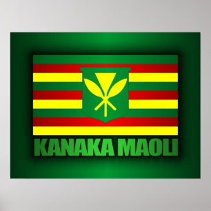 Póster Bandera Kanaka Maoli