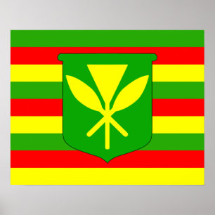 Póster Bandera Kanaka Maoli
