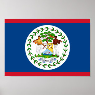 Póster Bandera nacional mundial de Belice