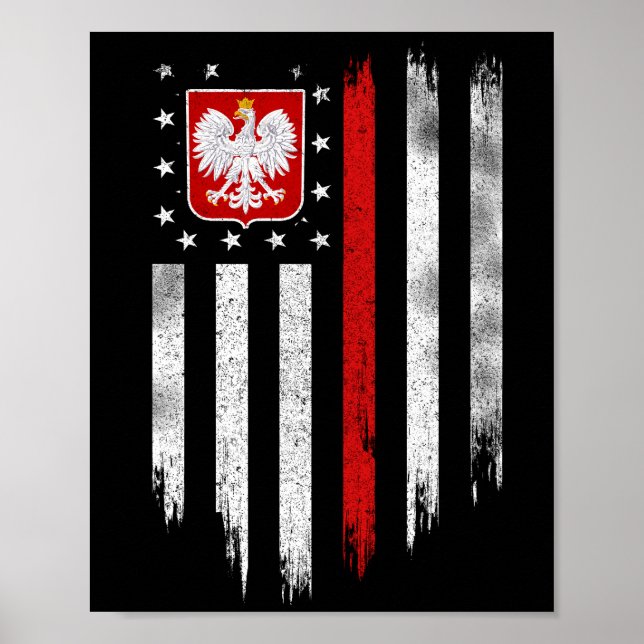 Póster Bandera Norteamericana Polaca Combo Polonia Usa Po (Frente)