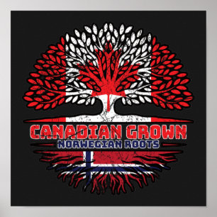 Póster Bandera noruega canadiense de raíces de árboles en