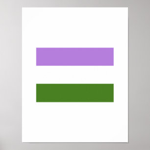 PÓSTER BANDERA OFICIAL DEL ORGULLO DE GENDERQUEER