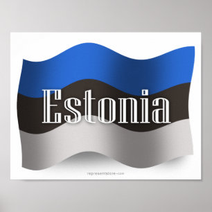 Póster Bandera ondulante de Estonia