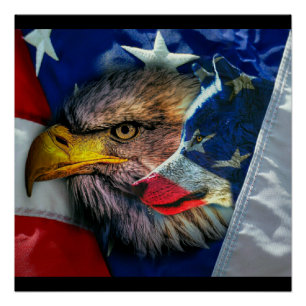 Póster Bandera Patriótica Americana Bald Eagle Wolf
