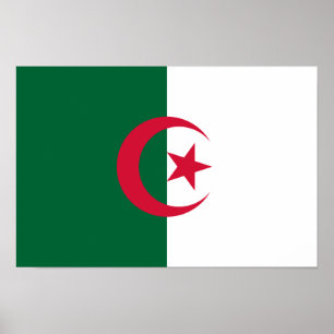 Póster Bandera patriótica argelina